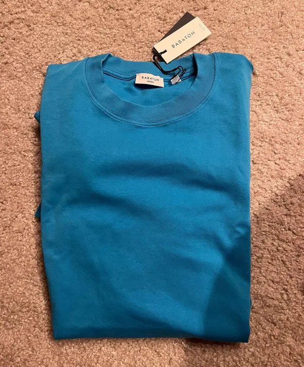 Aritzia Babaton Top - Image 3