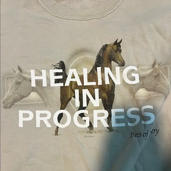 Healing in Process Crew neck Tan Size L - Image 2