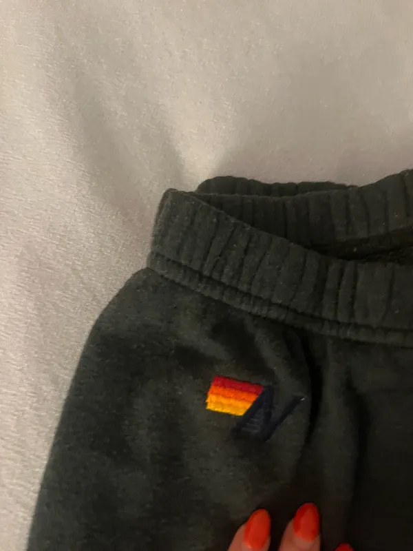 Aviator Nation Sweatpants - Image 4