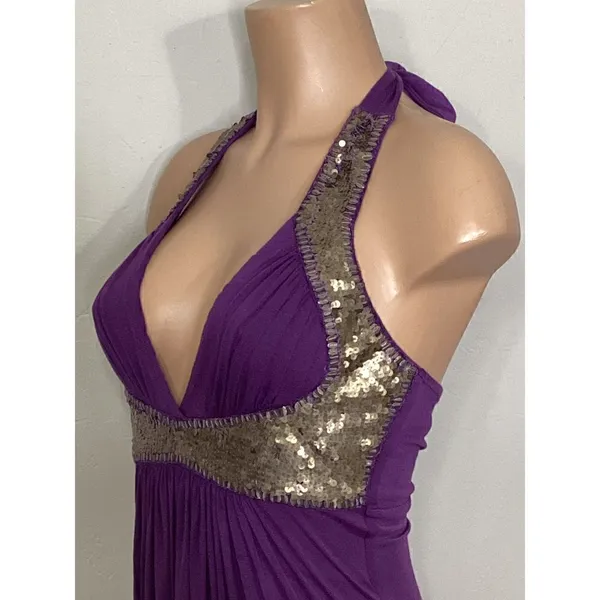New. SKY purple halter embellished maxi dress. Small. Retails $259 - Image 5