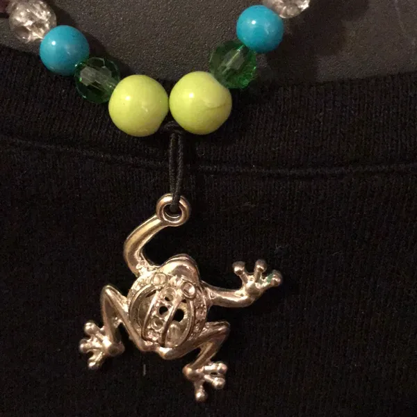 2$30 New silver frog necklace on beaded chain in blue - Image 3