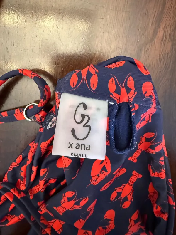 Grey Bandit x Ana Bikini - Image 3