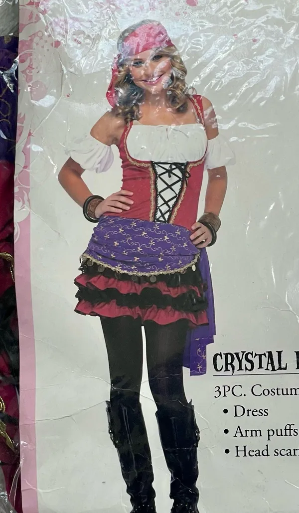 Leg Avenue Juniors Crystal Ball Gypsy Costume - Image 3