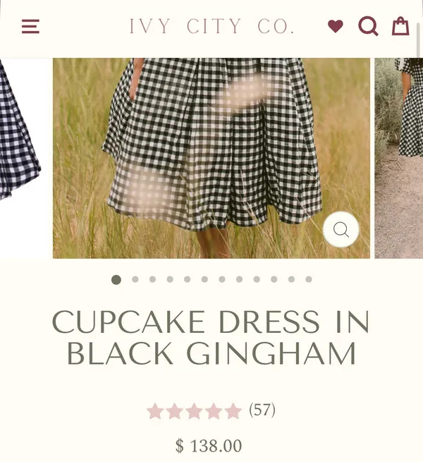 Ivy City Black Gingham Dress - Image 5