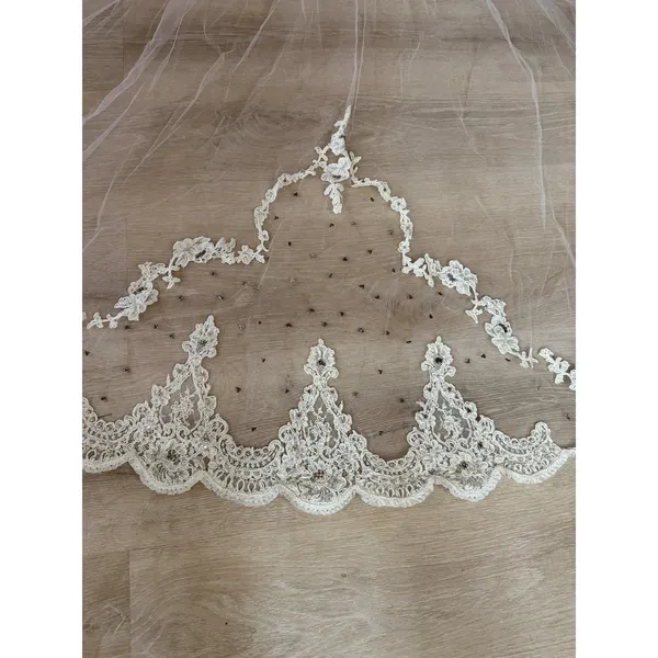 Priscilla Wedding Veil Comb Headpiece Lace Sheer Floral Ivory Wedding Ethereal - Image 4