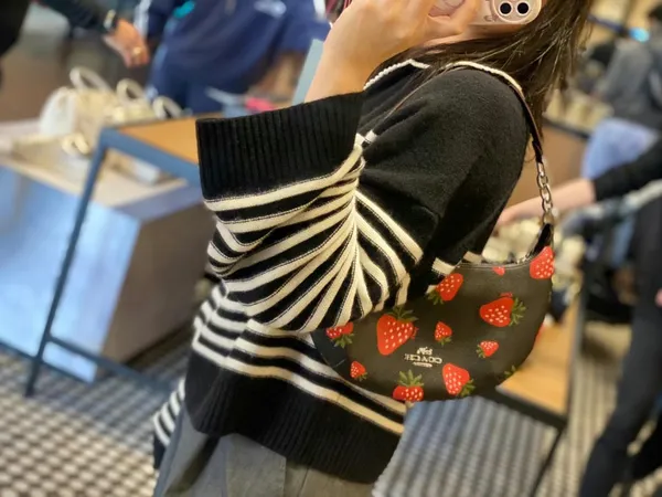 Coach Payton Hobo With Wild Strawberry Print CH330 - Image 9