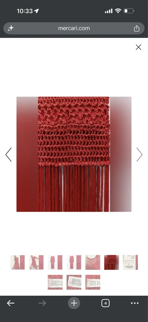 Zara Crochet & Fringe Maxi Dress — Size Medium | Blogger Favorite ❤️ - Image 10