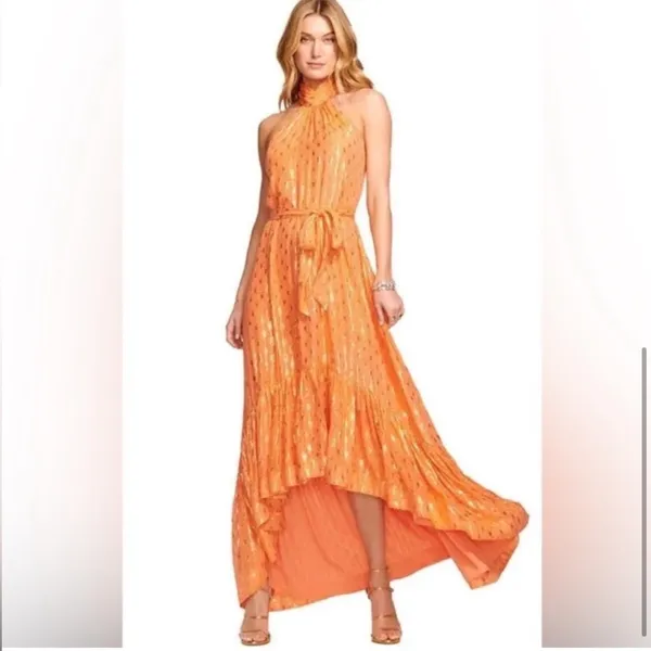 Ramy Brook Kenza Gown $695 Scintillating Hi Low Formal Flowy Dress nwt Prom 00 - Image 2