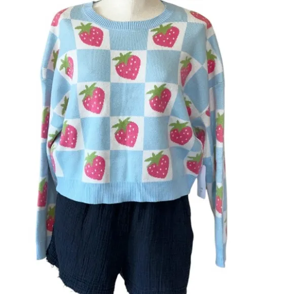 NWT Luna Ivy X Anthropologie Blue Checkered Strawberry Pullover Sweater Farm M - Image 5