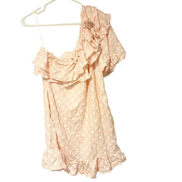 Lisa Marie Fernandez‎ x Target Size XL Pink Polka Dot One Shoulder Ruffle Dress - Image 2
