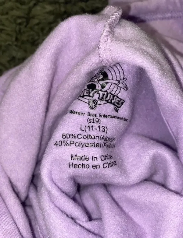 Looney Tunes Hoodie - Image 4