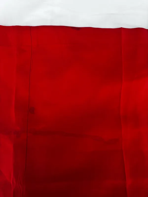 Red Zara pants - Image 4