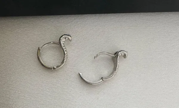 Snake Small Hoop Earrings for Men Women Streetwear Hip Hop Unisex Style - Image 3