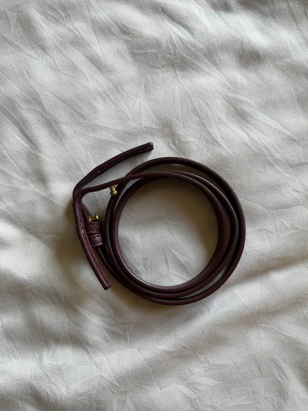 Mango Plum Mini Oval Bag - Image 3