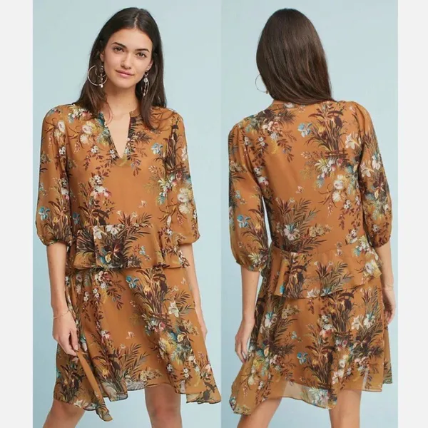 Anthropologie dRA Sheer Blouson Dress S Neutral Floral Chiffon Ruffle Office - Image 2