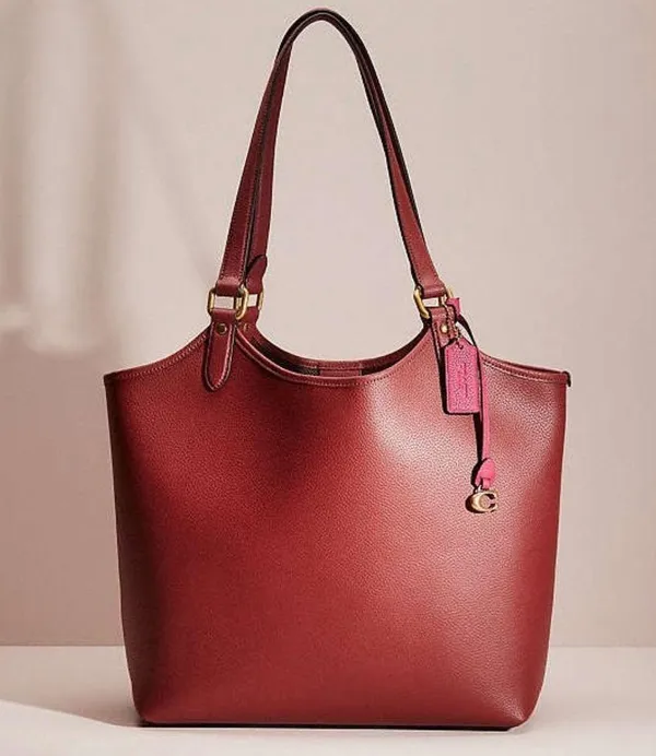 Coach Polished Pebble Leather Restored Day Tote in Brass/Brick Red, New +DustBag - Image 2
