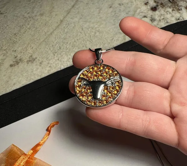 Rhinestone Texas Longhorn Round Pendant Silver Tone Chain Necklace NWOT - Image 7