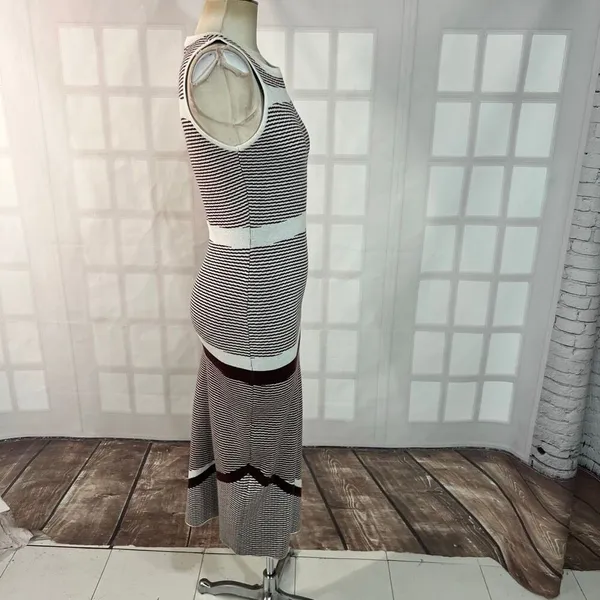 Petal & Pup Brown Stripe Kiah Knit Sleeveless Midi Bodycon Dress Size Large - Image 4