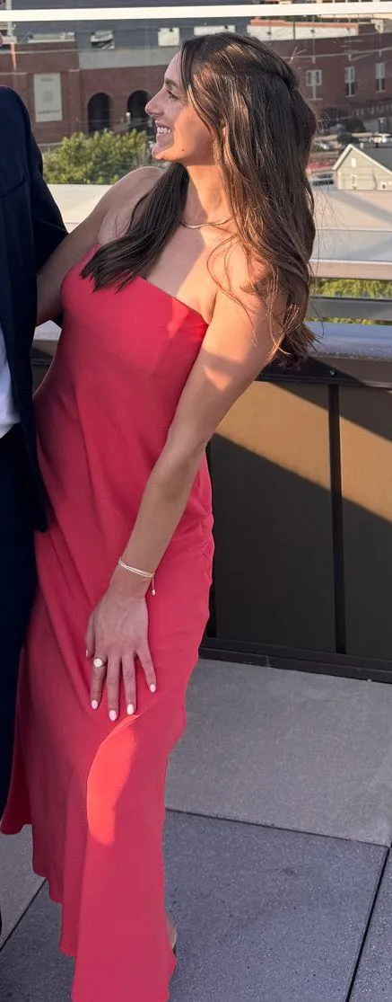 Aritzia Babaton Dress - Image 3