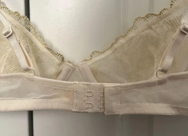 NWOT Crème Su Gold and Cream Mesh Underwired Bra - Image 4