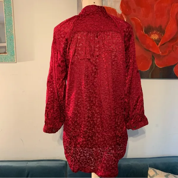 Anthropologie Women's Button Front Sheer Blouse Top Shirt XS X-small EUC - Image 4