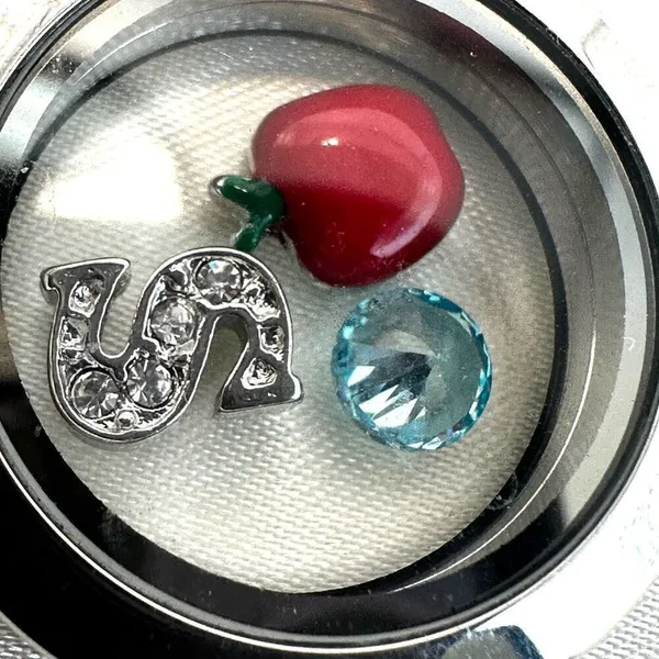 Origami Owl silver tone apple S locket necklace - Image 4
