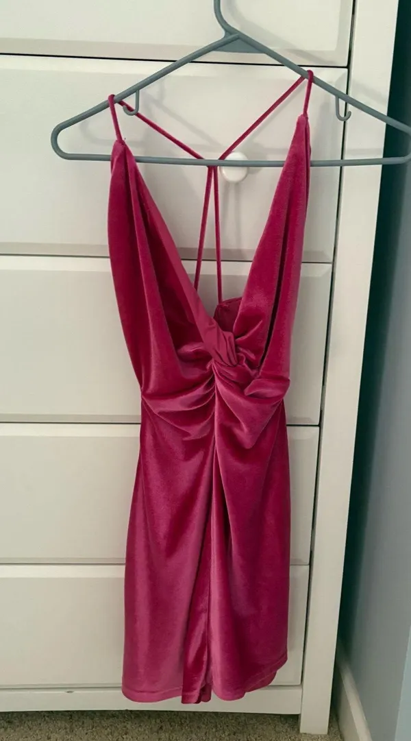 Pink Revolve Mini Dress more to come - Image 2