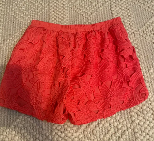 Francesca's Lace Shorts - Image 2