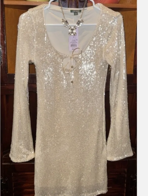 Wild Fable Sequin Scoop-Neck Long Sleeve Mini Dress - Champagne Size Small New Witg Tags - Image 2