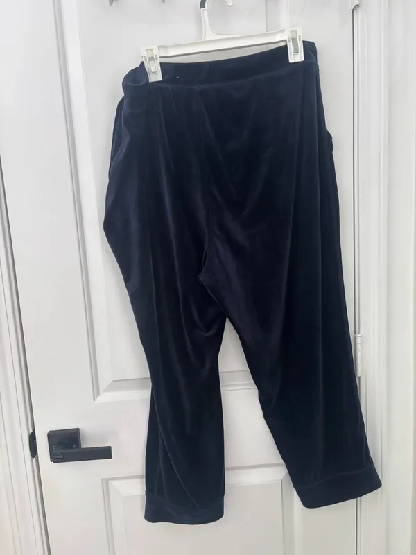Anthropologie Saturday Sunday merida velour velvet jogger - Image 5