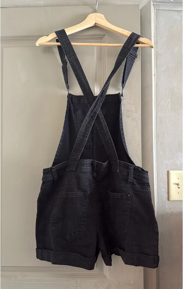Wall Flower Denim overalls - Image 2