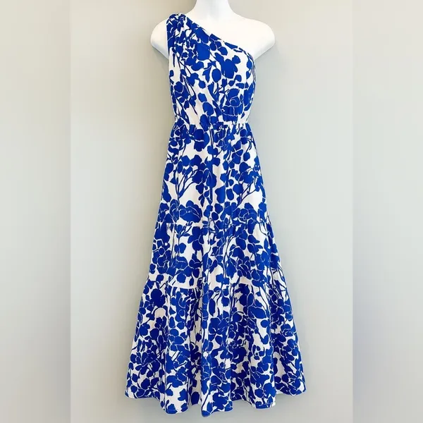 Hyacinth House Sybil Maxi Dress XXS Blue Floral One Shoulder Cotton Lined NWT - Image 3