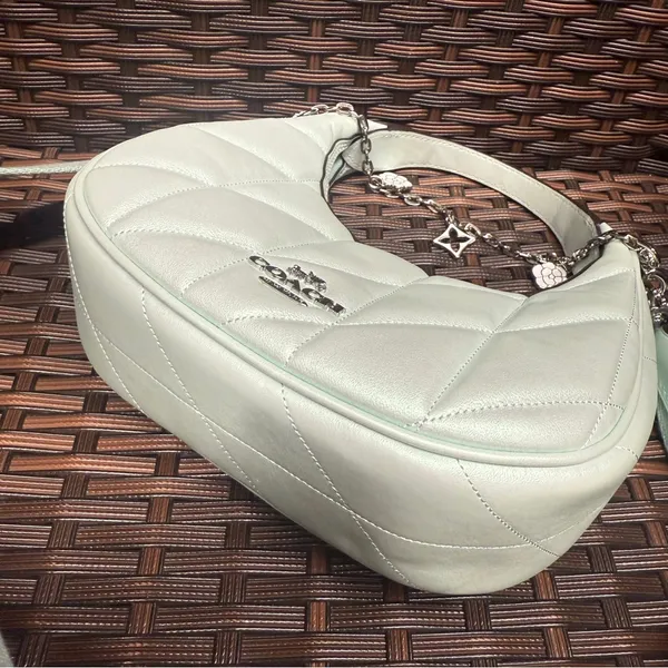 NWT Coach Carmen Mini Crossbody Bag CBI46 pearlized leather Silver/Green - Image 5