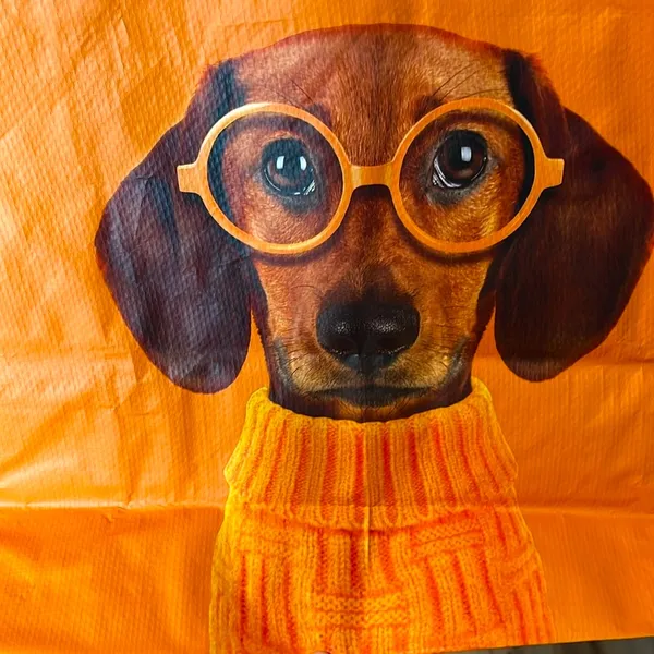 Puppy Dog Tote Orange - Image 4
