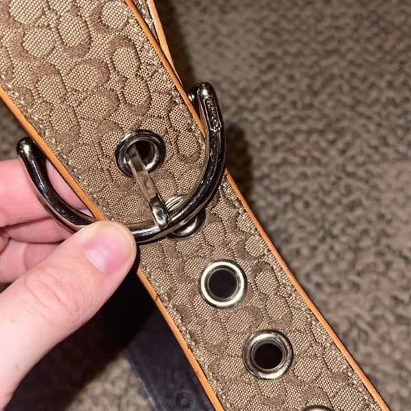 Coach Belt - Image 4
