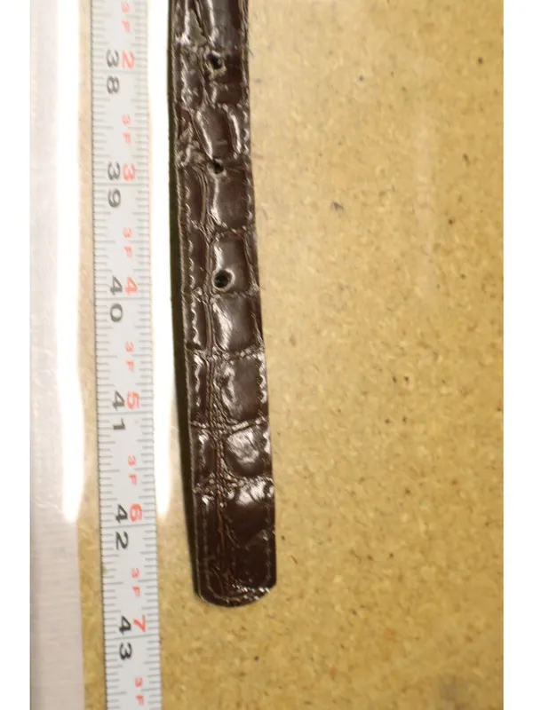 Brown Croc Embossed Vegan Leather Belt -18 Western Y2K Retro Silver Gold Buckle - Image 8