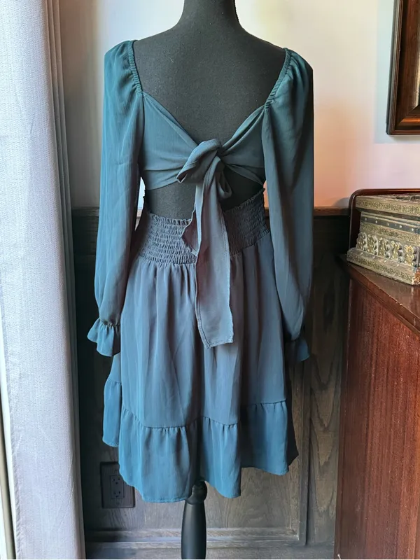 Exlura Women's Teal Long-Sleeve Empire Waist Dress large nwt - Image 3