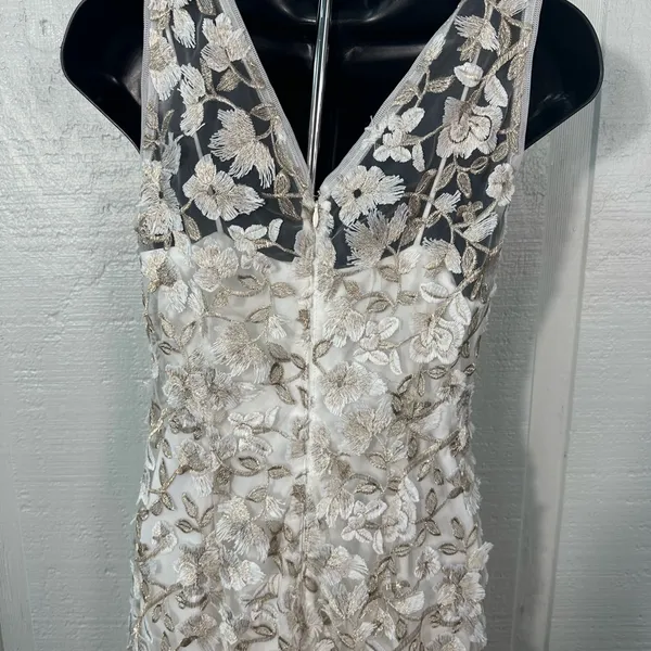 Adrienna Papell Off White Lace Overlay Sleeveless Dress Size 4 NWOT - Image 8