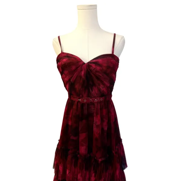 Hutch Madelina Pleated Tulle Tiered Maxi Dress Size 6 $398 NWT - Image 7