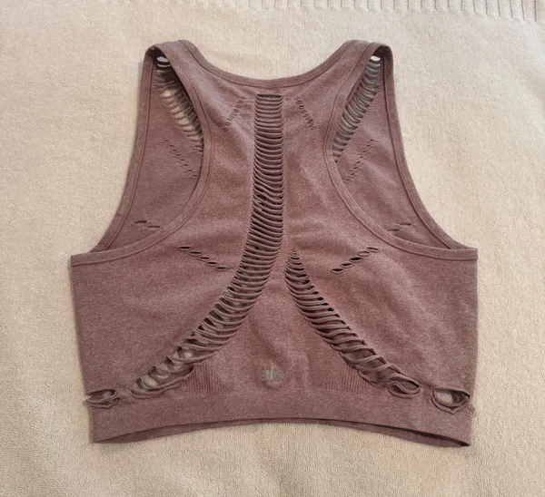 Alo Yoga Plum Heather Line Crop Tank Workout S - Image 2
