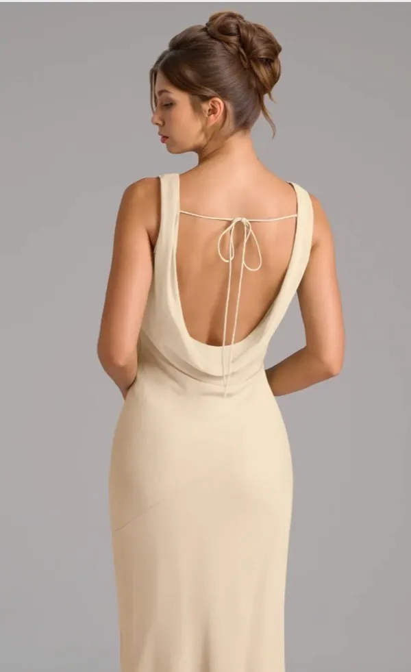 Azazie Rylina Champagne Mermaid Pleated Chiffon Dress - Image 2