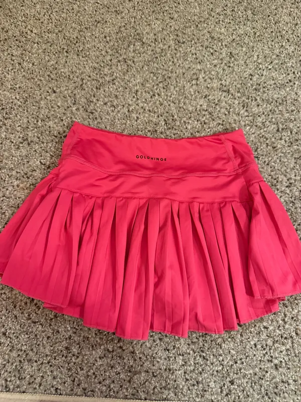 Gold Hinge Skirt - Image 2