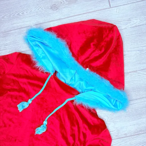 Dr Seuss thing 1 thing 2 red hooded dress blue faux fur large Halloween costume - Image 3