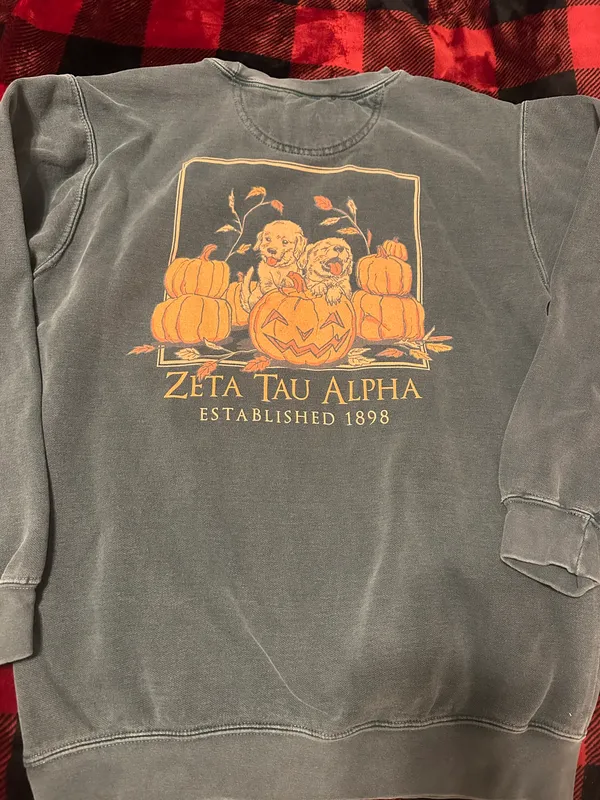 Comfort Colors Zeta Tau Alpha Sweatshirt - Image 2
