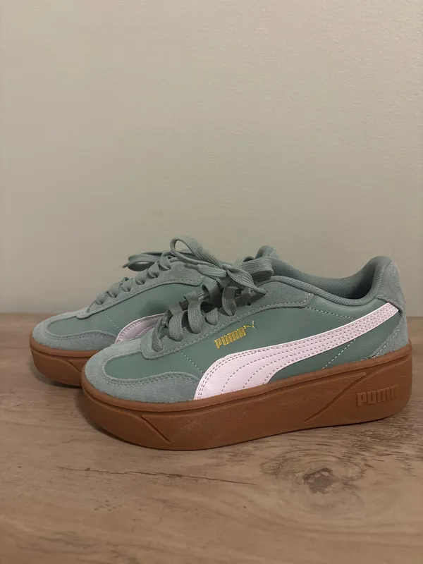 Puma Platform - Image 3