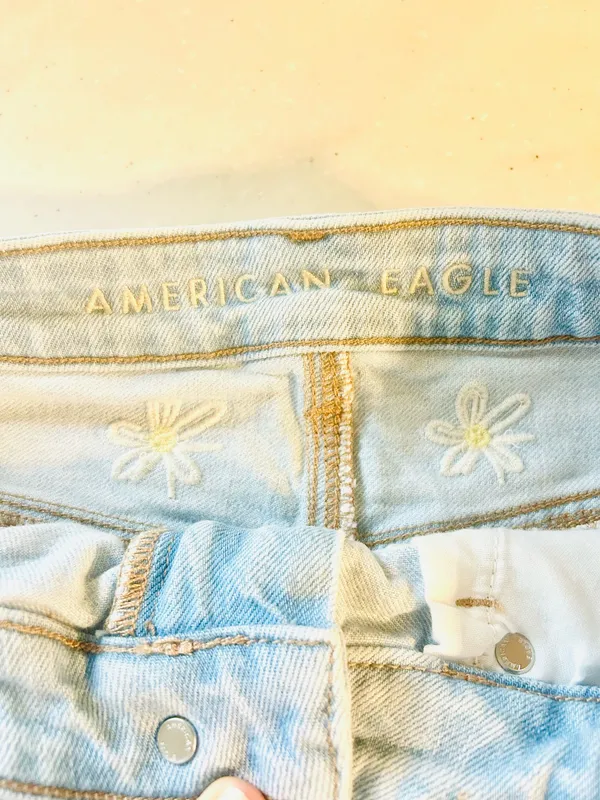 Daisy Embroidered American Eagle Shorts - Image 4