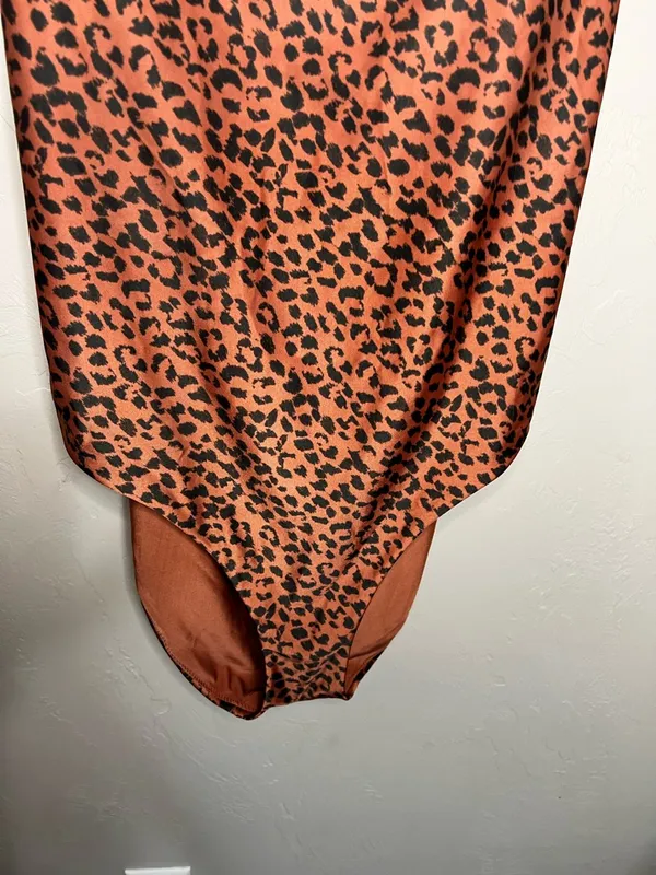 Aerie Cheetah Print One Piece Tie Back Canyon Creek Full‎ Coverage Swimsuit - Image 5