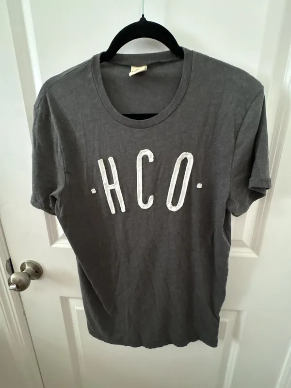 Hollister Co. Dark Gray Graphic Logo T-Shirt Size M - Image 2