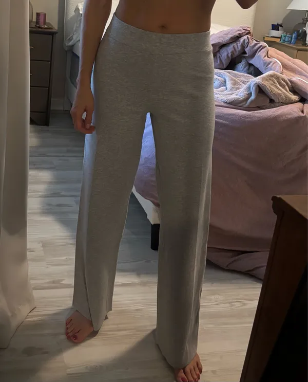 Aritzia Souvenir Pants - Image 3