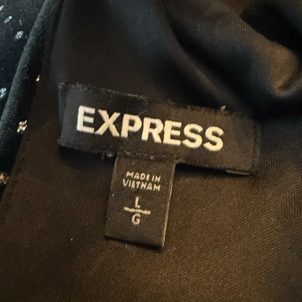 Express Velvet Dress L‎ Long Sleeve Party Cocktail Sparkle Backless Whimsigoth - Image 9